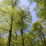 Ferienhaeuser Hainichhoehe Holiday home *