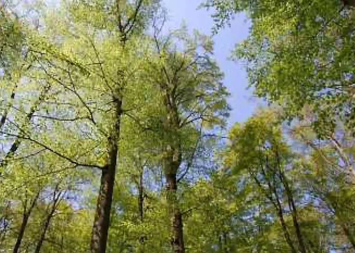 Ferienhaeuser Hainichhoehe بيت للعطل *